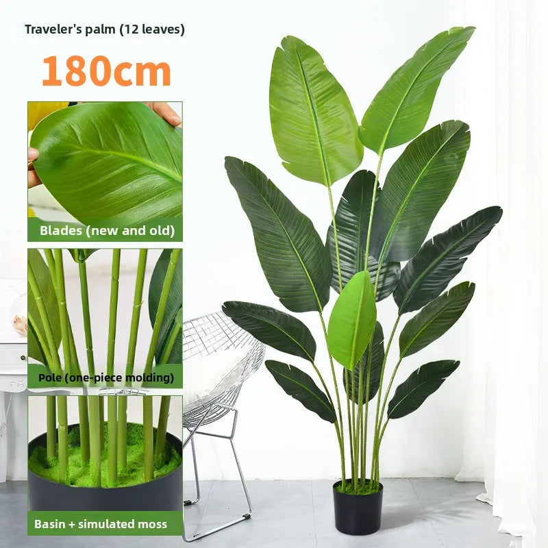 Tropical Banana Leaf Decor